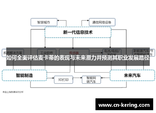 如何全面评估麦卡蒂的表现与未来潜力并预测其职业发展路径