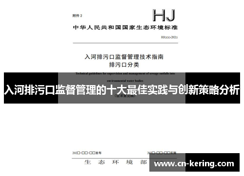 入河排污口监督管理的十大最佳实践与创新策略分析