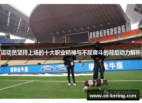 运动员坚持上场的十大职业精神与不屈奋斗的背后动力解析